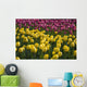 Tulips Wall Mural