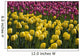 Tulips Wall Mural