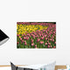 Tulips Wall Mural