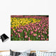 Tulips Wall Mural