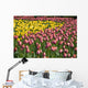 Tulips Wall Mural