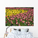 Tulips Wall Mural