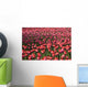 Tulips Wall Mural
