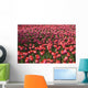 Tulips Wall Mural