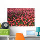 Tulips Wall Mural