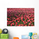 Tulips Wall Mural