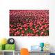 Tulips Wall Mural