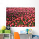 Tulips Wall Mural