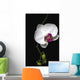 Orchid Wall Mural
