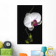 Orchid Wall Mural