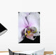 Orchid Wall Mural