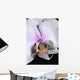 Orchid Wall Mural
