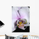 Orchid Wall Mural