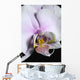 Orchid Wall Mural