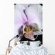 Orchid Wall Mural