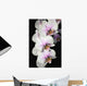 Orchids Wall Mural