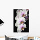 Orchids Wall Mural