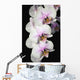 Orchids Wall Mural
