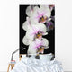 Orchids Wall Mural
