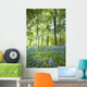 Wildflowers In A Forest Of Trees, Yorkshire, England Wall Mural