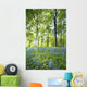 Wildflowers In A Forest Of Trees, Yorkshire, England Wall Mural