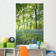 Wildflowers In A Forest Of Trees, Yorkshire, England Wall Mural