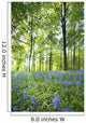 Wildflowers In A Forest Of Trees, Yorkshire, England Wall Mural