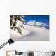 Mount Hood, Oregon Of America Wall Mural