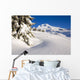 Mount Hood, Oregon Of America Wall Mural
