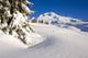 Mount Hood, Oregon Of America Wall Mural