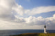 Lighthouse, Oregon Of America Wall Mural