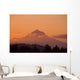Mount Hood, Oregon, Usa Wall Mural
