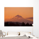 Mount Hood, Oregon, Usa Wall Mural