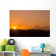 Mount Hood, Oregon, Usa Wall Mural