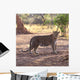 Leopard Wall Mural