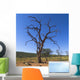 Dead Tree, Namibia, Africa Wall Mural