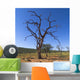 Dead Tree, Namibia, Africa Wall Mural