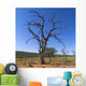 Dead Tree, Namibia, Africa Wall Mural