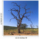 Dead Tree, Namibia, Africa Wall Mural