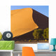 Sand Dune, Namibia, Africa Wall Mural