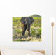 Elephant Wall Mural