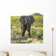 Elephant Wall Mural