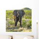 Elephant Wall Mural
