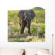 Elephant Wall Mural