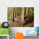Forest Pathway, Whistler, British Columbia Wall Mural