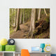 Forest Pathway, Whistler, British Columbia Wall Mural