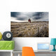 Old Grain Elevator, Dorothy, Alberta, Canada Wall Mural