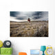 Old Grain Elevator, Dorothy, Alberta, Canada Wall Mural