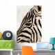 Zebra Wall Mural