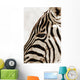 Zebra Wall Mural